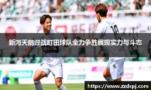 新泻天鹅迎战町田球队全力争胜展现实力与斗志